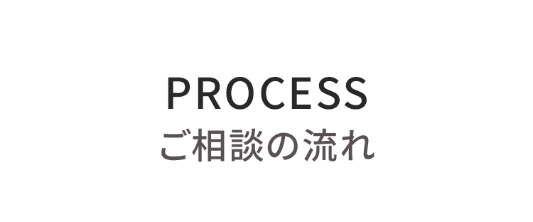 protfolio process sp