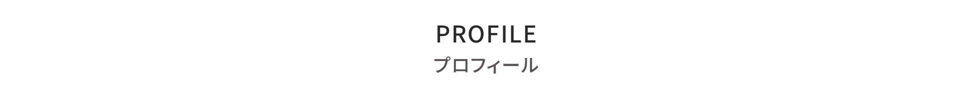 protfolio profile pc